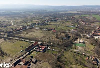 Casă cu 8 camere cu Teren 7235 Mp în Traian Vuia - 6