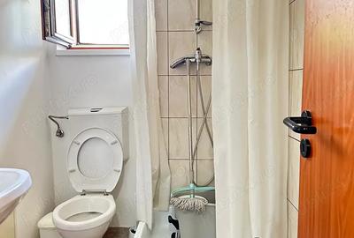 Proprietar! Inchiriez imobil 1 Camera+centrala termica. Pret 300 euro - 6