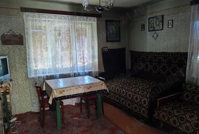 Casa de vanzare cu gradina si curte Drasov Jud. Alba - 7