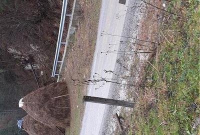 Casă cu 3 camere cu Teren 4900 Mp în Central - 7