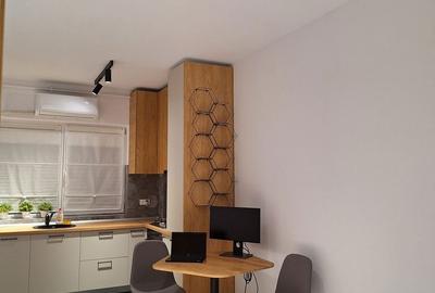 Garsonieră în Brâncoveanu - 8