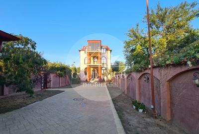 Vila  Dobroesti-Fundeni - 17