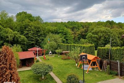 Casă cu 6 camere cu Teren 1629 Mp în Plopu - 3