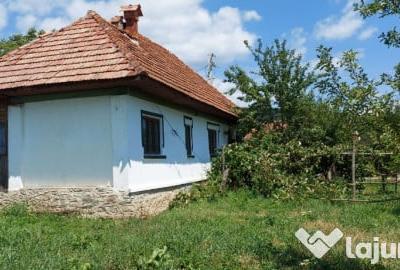 Casă cu 3 camere cu Teren 1583 Mp în Polovragi - 2