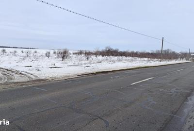 Spațiu comercial, de 2,500 mp, în Frumușani - 1