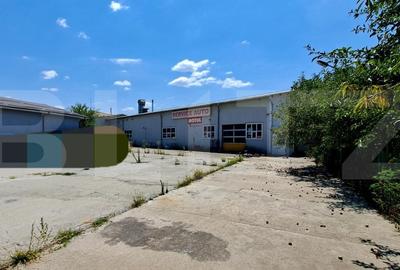 Spațiu industrial, de 980 mp, în Romanești - 2