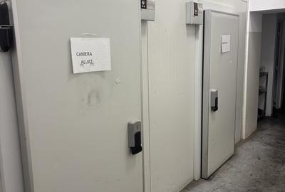 Piata Delfinului, Sector 2, Bucuresti - 9