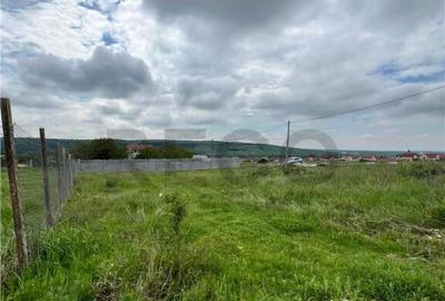 Teren de 500 mp, în Betfia - 1