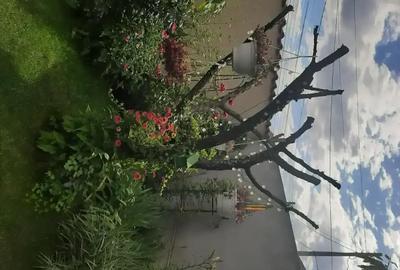 Casă cu Teren 300 Mp în Chiajna - 2