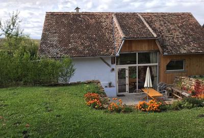 Casă individuală cu 10 camere cu Teren 8200 Mp în Grânari - 10