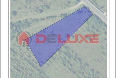 Teren 1250 mp. DN 17 Crainimat - 4