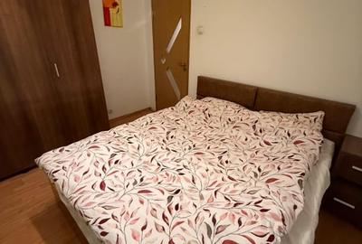 Apartament cu 2 camere decomandat, mobilat în Drumul Taberei - 6