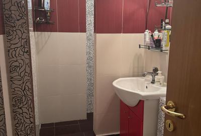Oferim spre inchiriere apartament cu două camere - 8