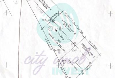 Spațiu comercial, în Parcul Carol - 4