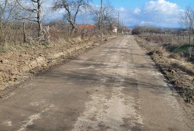 Teren de 2900 mp, în Fârliug - 7