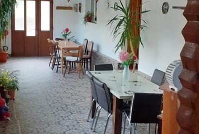 Casă cu 4 camere cu Teren 20 Mp în Băile Herculane - 7