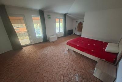 Inchiriez Vila 5 camere in Padurea Snagov, Silistea Snagovului - 5