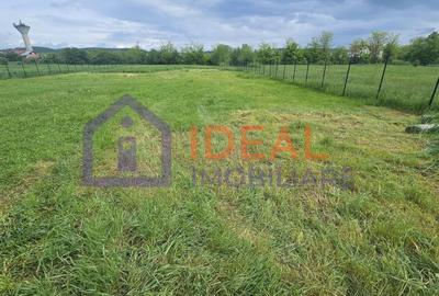 Teren Intravilan 3100 mp, 46 deschidere la strada, in Cristian - 1