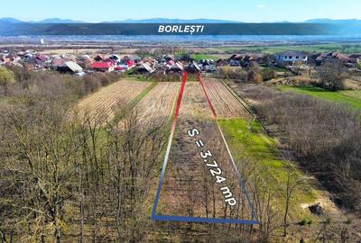 Casă cu 3 camere cu Teren 3724 Mp în Borlești - 21