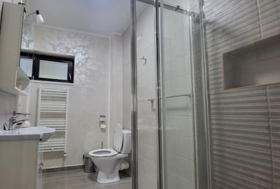 Casa individuala de inchiriat | 4 camere | Valea Adanca - 22