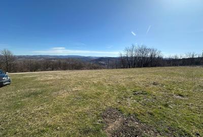 Teren de 9220 mp, în Periferie - 6