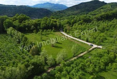 Teren de 8387 mp, în Corbi - 7