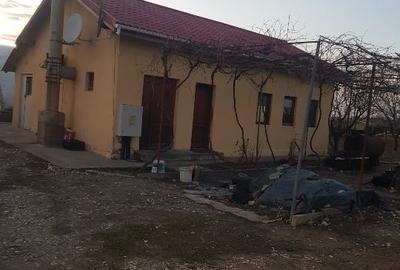 Vând teren intravilan 10.000mp +casa+anexe(spatii prodictie-depozitare) - 2