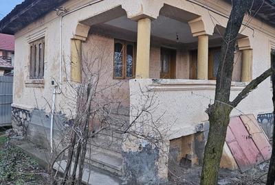 Casa Stane?ti Gorj 7000mp - 5