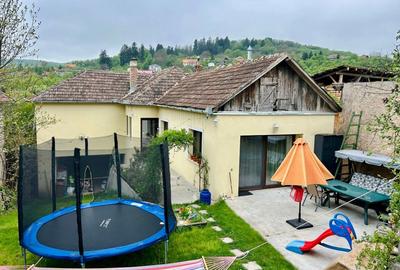 De Vanzare casa individuala in localitatea Suceagu - Cluj - 9