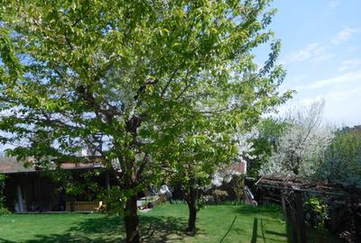 Casă cu 10 camere cu Teren 780 Mp în Central - 2