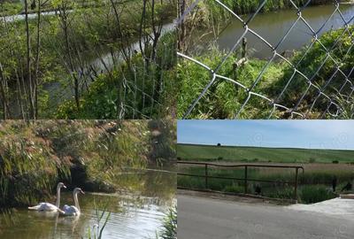 Casă cu 2 camere în Moara de Jos - 8