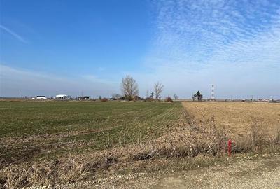 Teren Construcții intravilan de 5985 mp, în Nojorid - 2