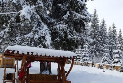 De Vanzare Cabana in   Poiana Negrii cu Clasificare la  Ministerul Turismului - 9