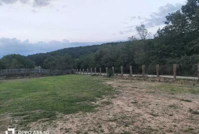 Teren de 2200 mp, în Căstău - 5