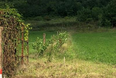 Locul perfect pentru casa ta de vis – teren la marginea orașului! - 3