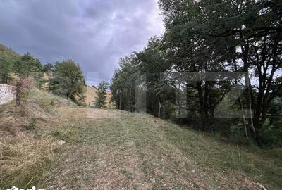 Teren de 1585 mp, în Central - 6