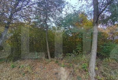 Teren de 1256 mp, în Ciurila