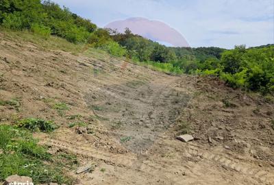 Teren de 1600 mp, în Central - 3