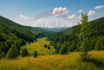 COMISION 0%  Teren 6,572 mp/Curti constructii/ Intravilan - 3