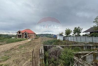 Teren 4,280mp Lapusel / Strada Primaverii cu fundatie si parcelabil - 2