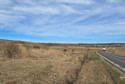Teren Construcții extravilan de 3600 mp, în Periferie - 2