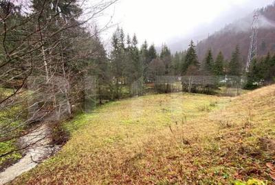 Oportunitate de Investi?ie: Teren de 10.000 mp la Intrarea - 6