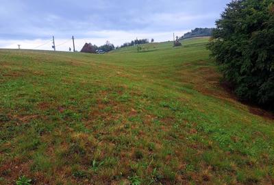 Spațiu comercial, în Ponoară - 3