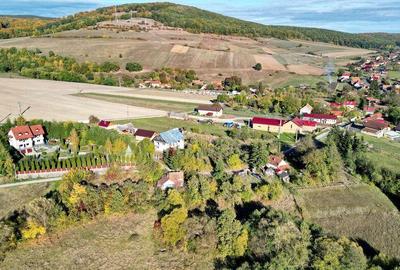 Teren Intravilan - 6