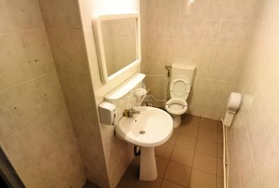 Lucretiu Patrascanu - spatiu birouri - 160 mp - 12