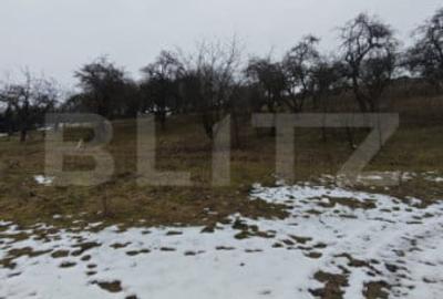 Teren de 1268 mp, în Mihai Viteazu - 3
