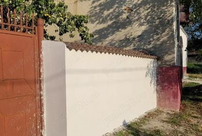 Casa de vanzare la tara - 10