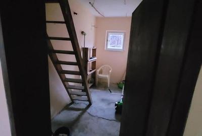 Casă în Peciu Nou - 6