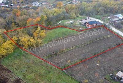 Teren de vanzare in comuna Meri?ani, sat Valcelele, jude? Arge?. - 10