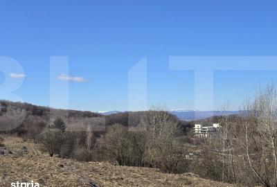 Teren de 4000 mp, în Făget - 8